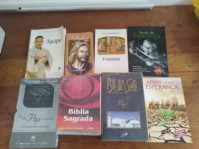Coleção de Bíblias e Livros Bíblicos 