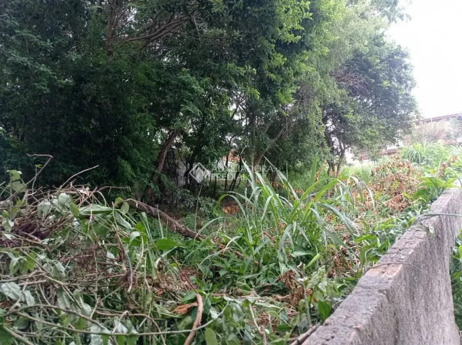 Terreno à Venda nos Ingleses - 456 m² ? Ideal para Construção de 5 Sobrados
