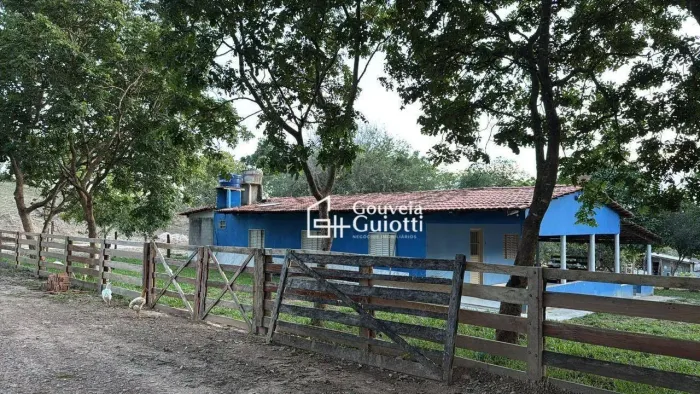 Sítio Produtivo 9,1 Alqueires em Cromínia, com Estrutura Leiteira, Renda Mensal e Porteir