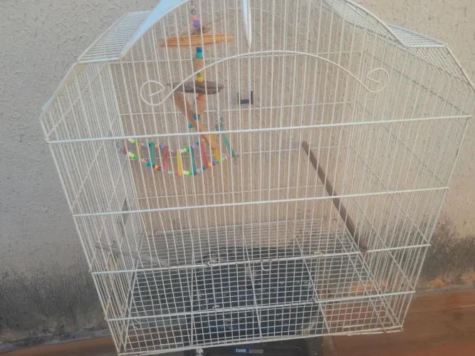 GAIOLA APENAS 70 REAIS IMPERDÍVEL