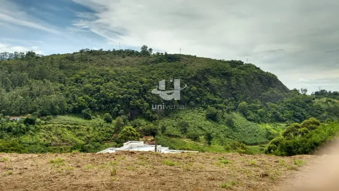 Lote / Terreno - Novo Horizonte