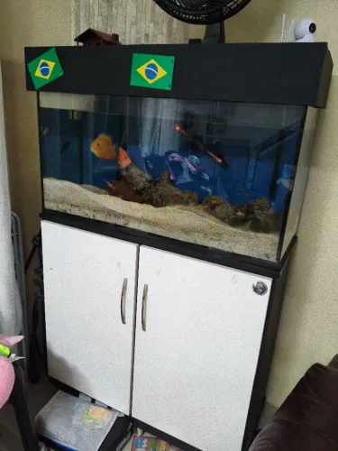Aquário 200 litros com móvel 