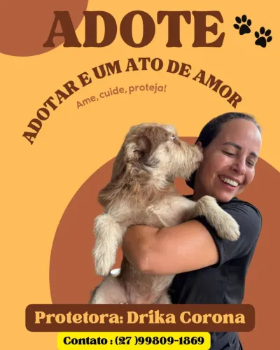 Doação 