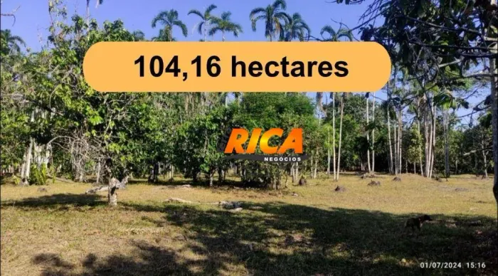Vende-se Fazenda às Margens da BR 364, Sentido Acre