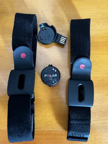 Sensor Polar Verity Sense