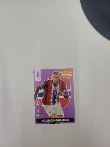 ERLING HAALAND - STICKER BORDÔ