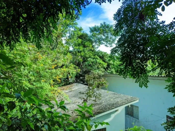 Terreno para Venda em Florianópolis, Cacupé