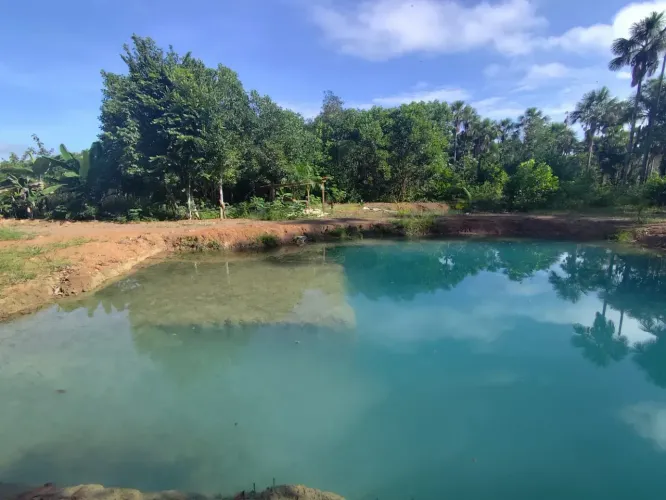 Lote a venda no Terra Nova Bosque - Macapá - AP