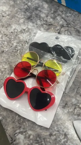 Itens para deixar o seu pet mais estiloso