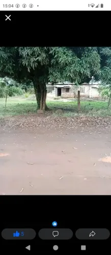 Mini Chacrinha
