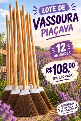 Lote de Vassoura Piaçava com 12