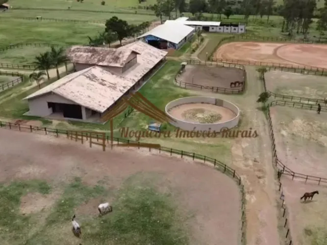 Haras para centro de treinamento, hospital de animais, centro de reprodução.