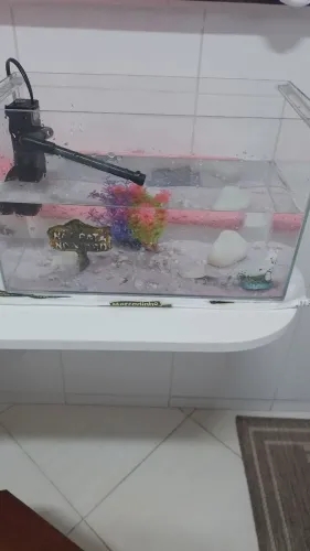 AQUÁRIO COMPLETO