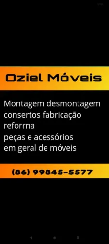 Montador de móveis e marceneiro