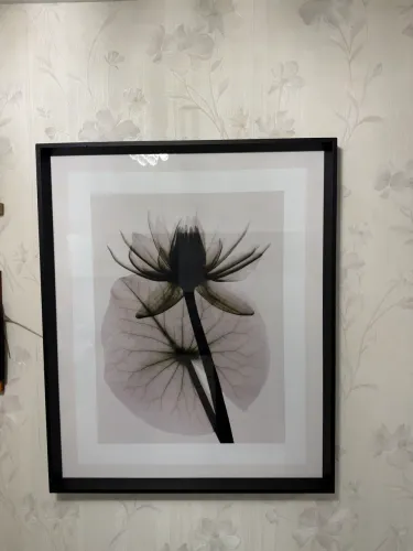 Quadro Decorativo
