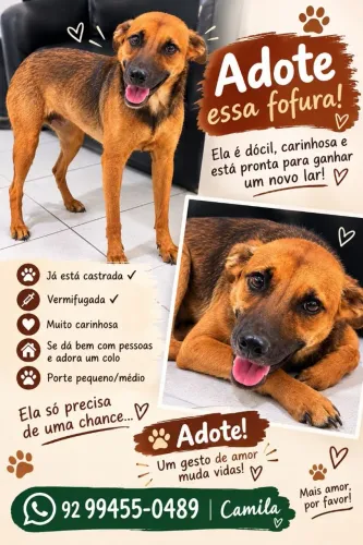 Adoção responsável