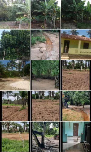 Sítio em Japoatã-se