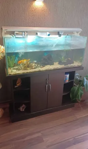Aquário 200l completo