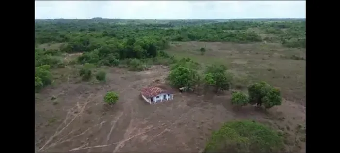 404 hectares por 3.267,00 reais por hectare na br 308 em Viseu pará