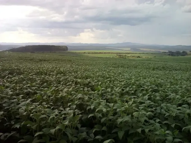 Sitio em Asai 15 aqueiro planta 13 por 200mil o aqueiro