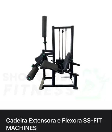 Cadeira Extensora e flexora conjugada SSFIT 