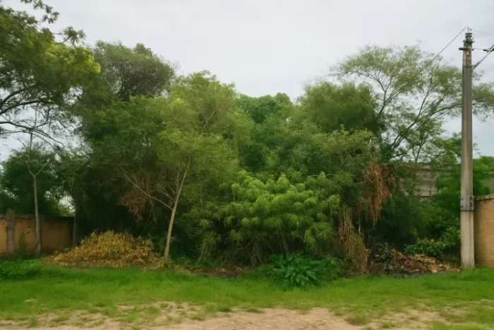 Terreno em Araruama (Iguabinha) 600m2 Com RGI, Condomínio a 5min Da Praia Do Gavião!!