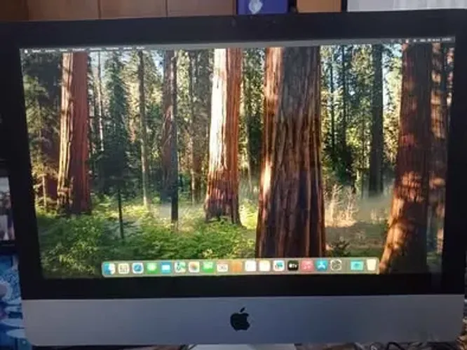 Imac Apple 21? Ssd 500 Sequoia