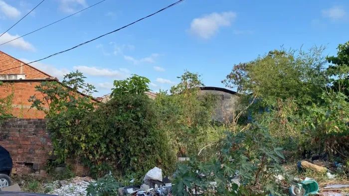 Vendo terreno na areinha