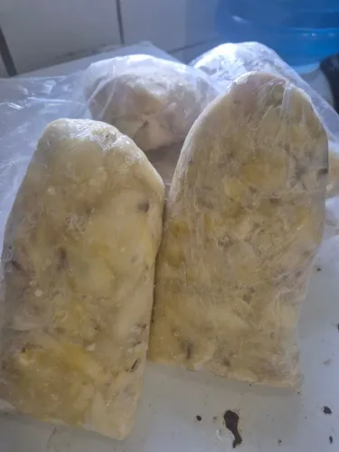 Polpa de Bacuri 500g