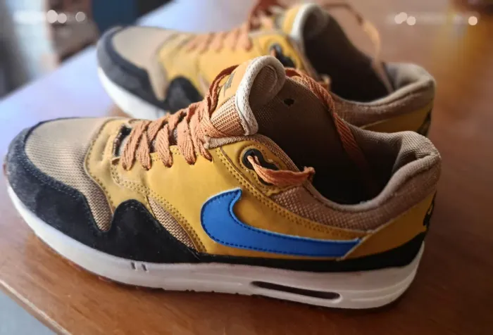 Nike Air Max 1 (Relíquia)
