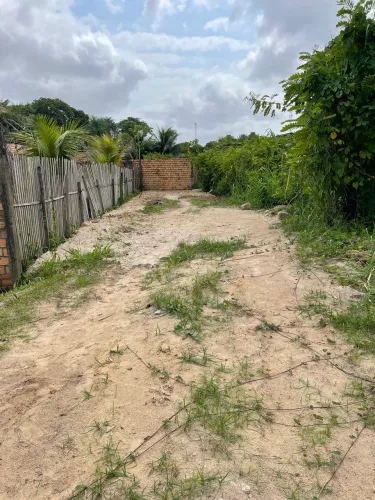 Terreno mosqueiro