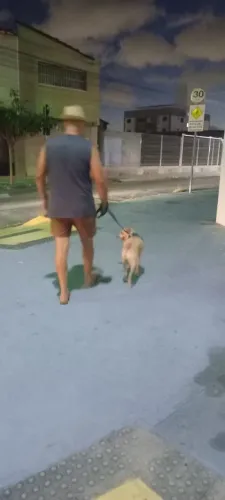 Cuidador de pet
