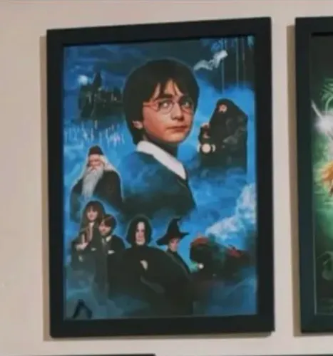 Quadro Harry Potter Pedra filosofal