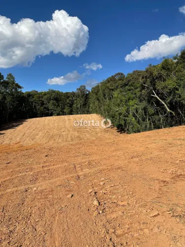 Chácara em Araucária / Rio Verde Acima
