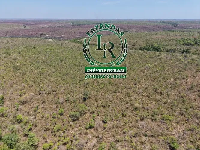 Fazenda Bruta Tocantins Área de 1.649,78 hectares, 340 Alqueireirão