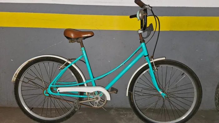 Bicicleta ceci 
