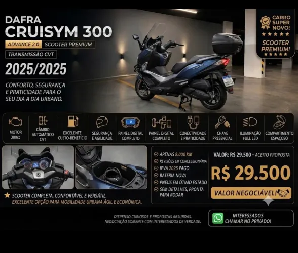 Cruisym 300