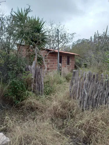 Propriedades Rural