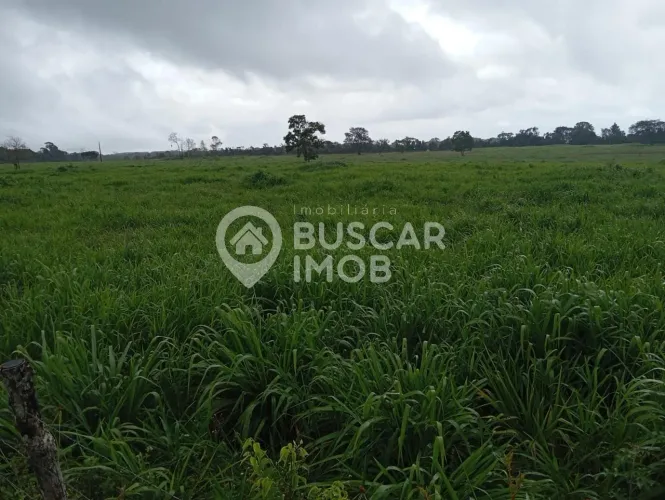 FAZENDA RURAL em CARDEAL DA SILVA - BA, MARAVILHA