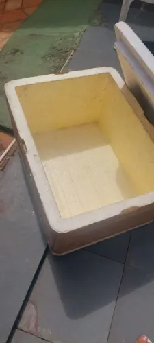 Caixa de isopor 120 litros