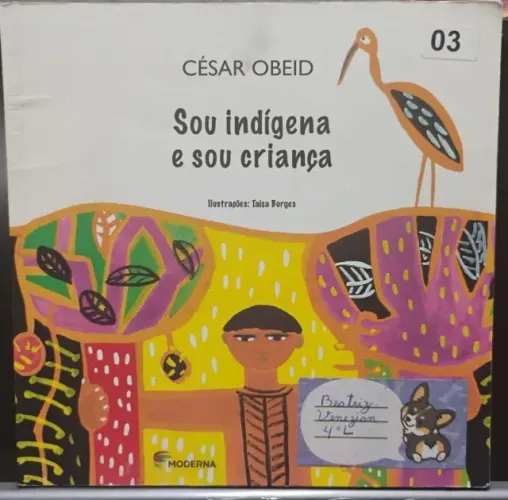 Livro: Sou indígena e sou criança