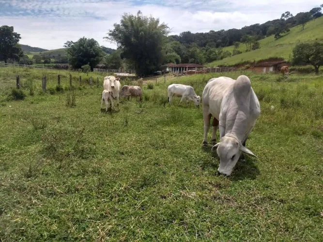 SITIO OPORTUNIDADE