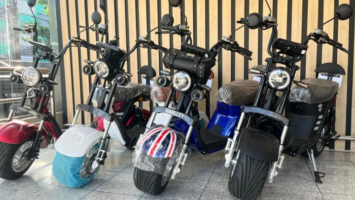 Bicicleta Elétrica