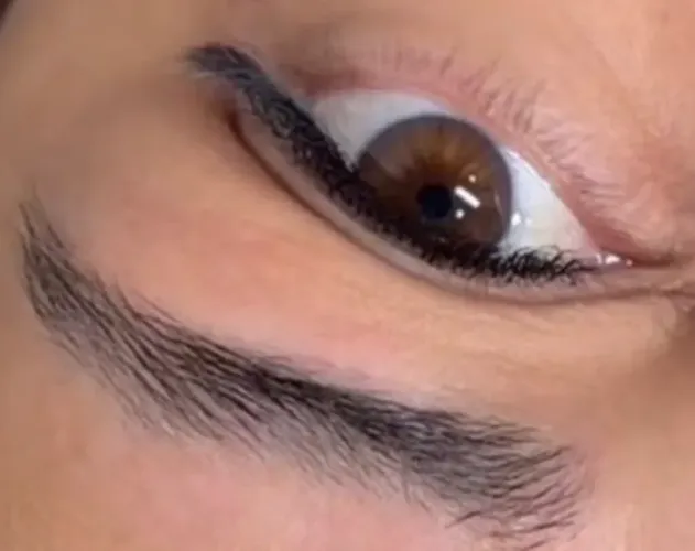 Modelo de extensão
