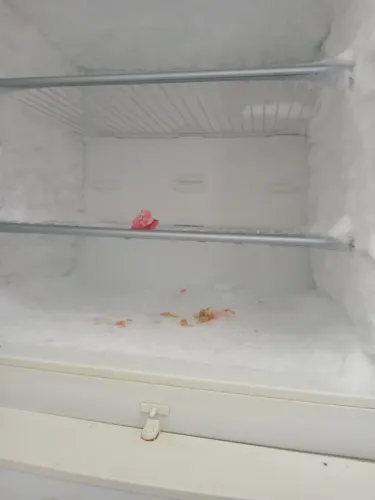 Geladeira Freezer Bosch 417 litros