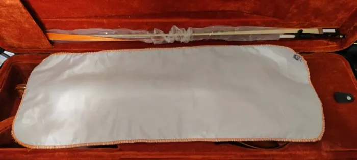 Violino Eagle novo