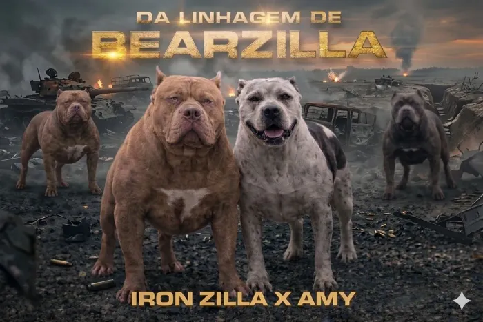 Pit Monster filhotes disponíveis em breve