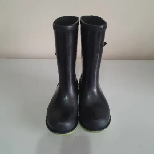 Galocha Cat Noir tamanho 25