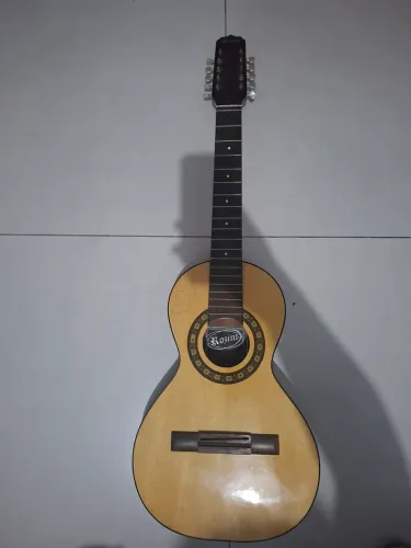 Vendo viola caipira