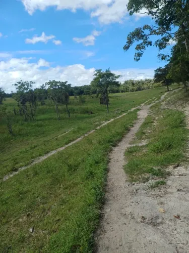 Área portuária Manaus  100.000m2 vendo